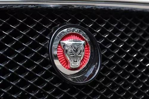 車標上的動物都是啥來頭？看完又能出去裝X了