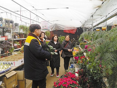 春節臨近 周口花卉市場日漸火爆