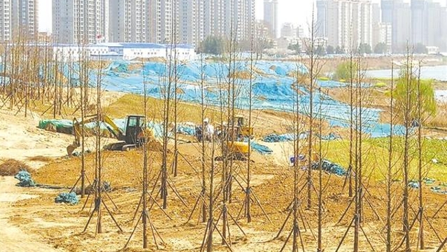 沙潁河生態改造正酣