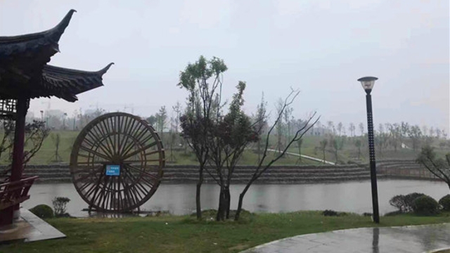 周口：春節，來這些游園嗨皮吧