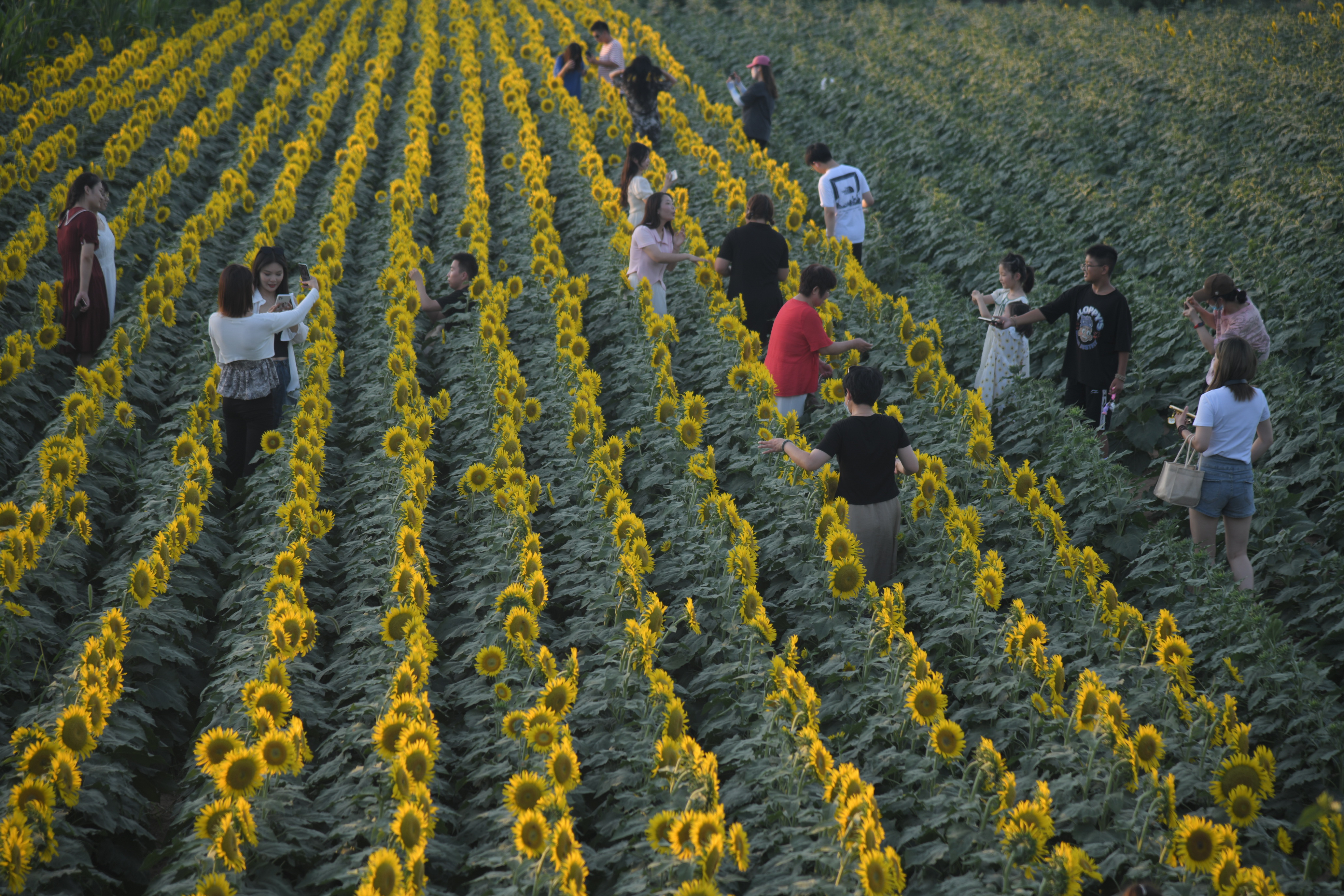 美化沙潁河 創建文明城