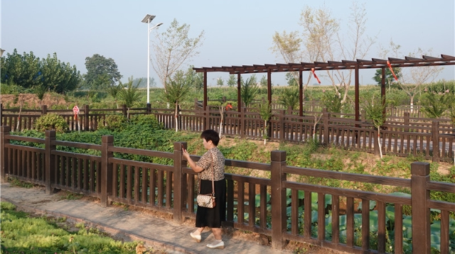[沈丘]周營鎮：“生態宜居星”扮靚群眾新生活